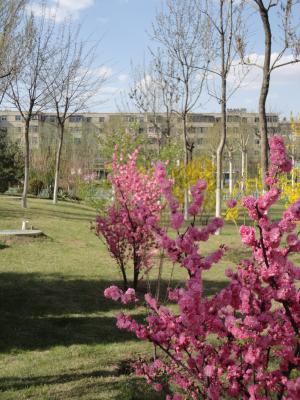 Und hier ein kleiner Einblick in meine "Spatziergang-Welt". Und hier ein kleiner Einblick in meine "Spatziergang-Welt".